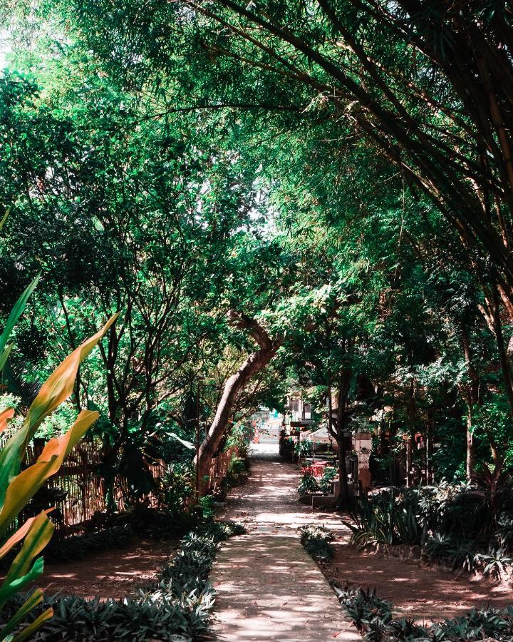 Oasis Balili Heritage Lodge Tagbilaran Dış mekan fotoğraf