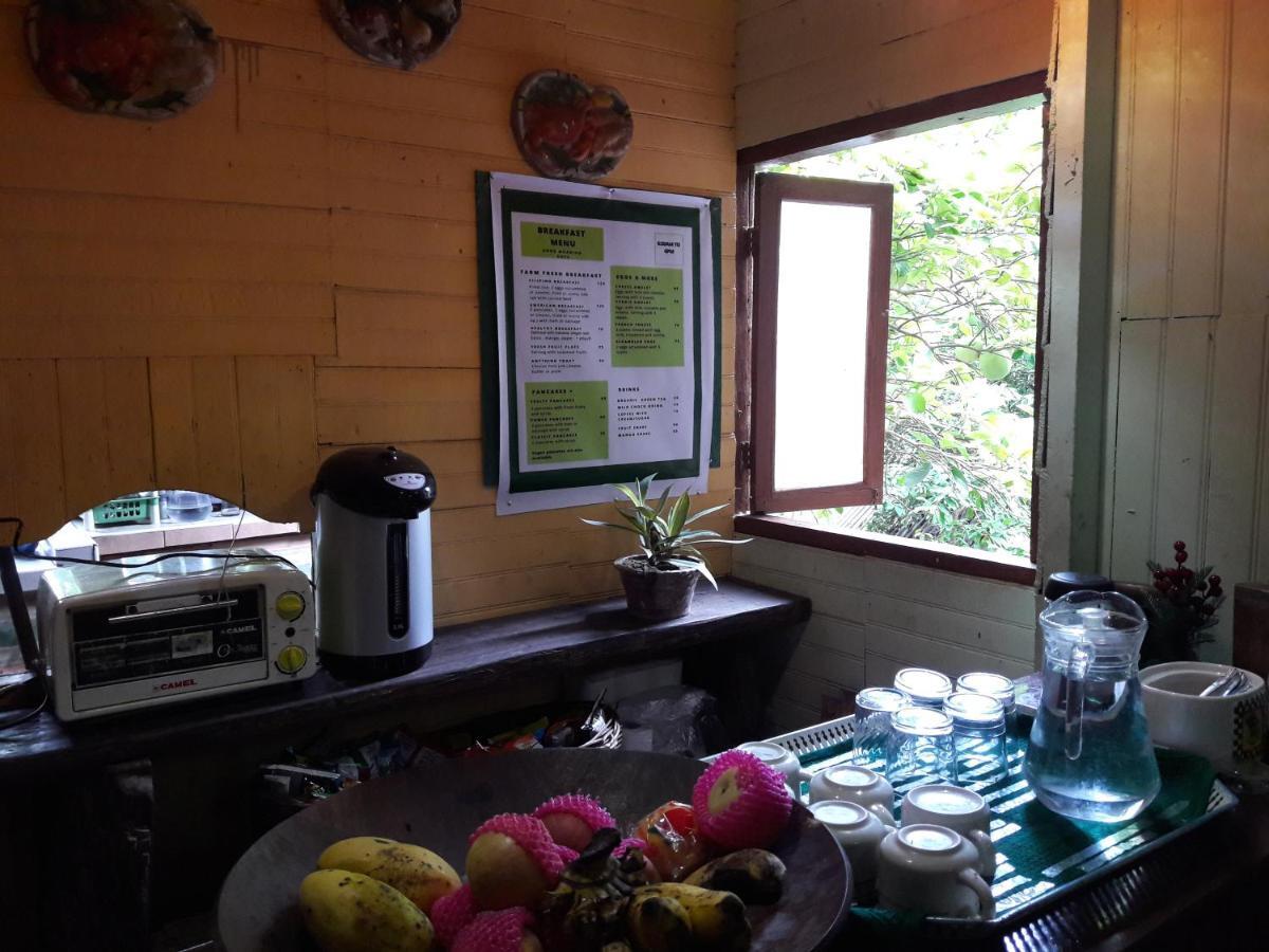 Oasis Balili Heritage Lodge Tagbilaran Dış mekan fotoğraf